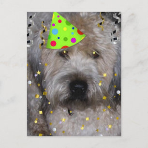 Cartão Postal Partido Animal Wheaton Terrier