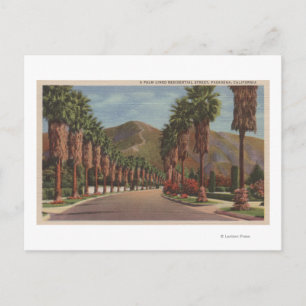 Cartão Postal Pasadena, CA - Cena Residental de Rua & Palms