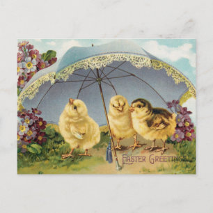 Cartão Postal Páscoa Antiga Frangos sob um Guarda-Chuva