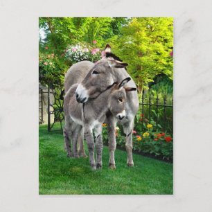 Cartão postal "Páscoa & Baby Eno"