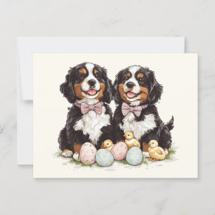 Cartão Postal Páscoa Cães de Montanha Bernese Ovos de Páscoa