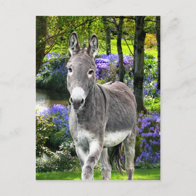 Cartão Postal "Páscoa doce" (Frente)