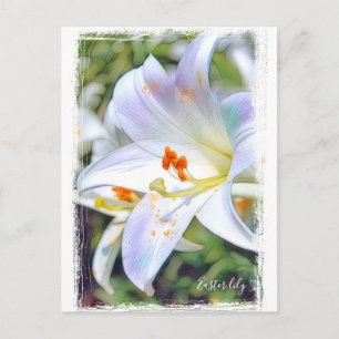 Cartão Postal Páscoa Lily [Cartão postal] ポ ス ト Team