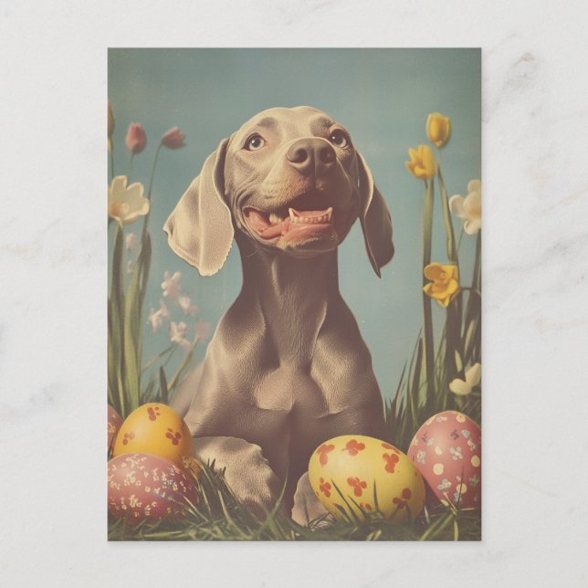 Cartão Postal Páscoa Weimaraner Vintage (Frente)
