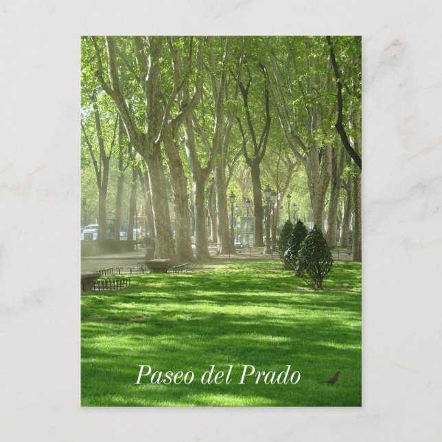 Cartão Postal Paseo del Prado (Frente)