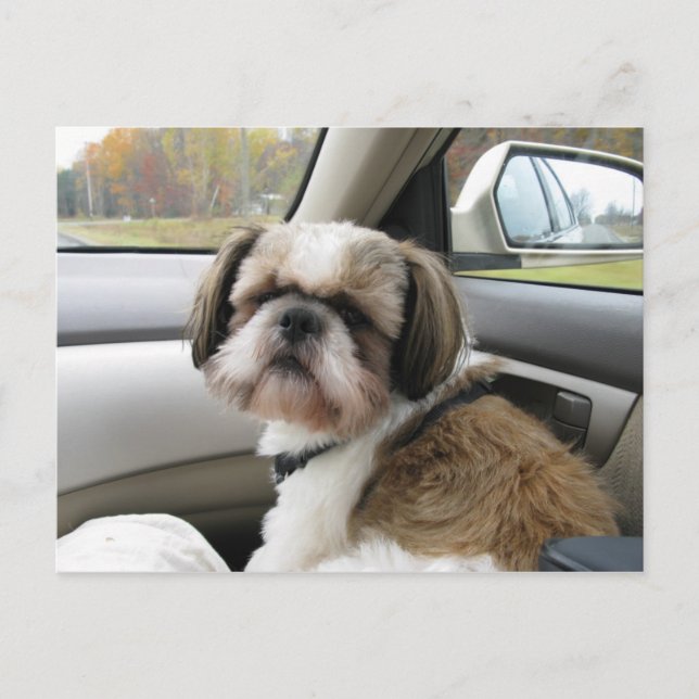 Cartão Postal Passageiro Impaciente (Frente)