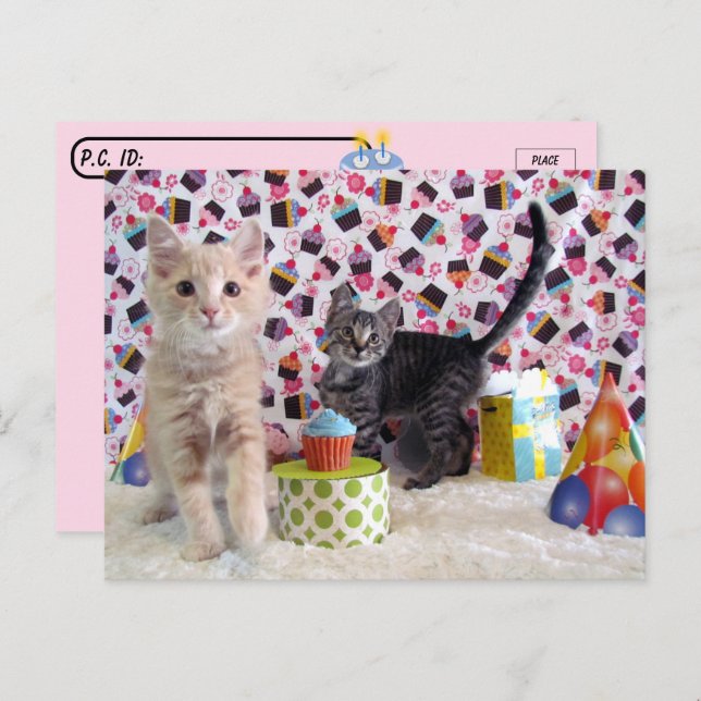 Cartão Postal Passagem - Festa de Aniversário - Gato (Frente/Verso)