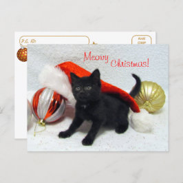 Cartão Postal Passagem - Natal de Joon - Gato / Gatinho