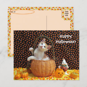 Cartão Postal Passando o Curioso Gato de Halloween de Annie