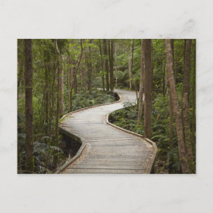 Cartão Postal Passarela para Nelson Falls, Franklin - Gordon