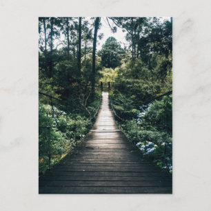 Cartão Postal Passarela pela Floresta