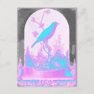 Cartão Postal Passarinho Azul Turquesa, rosa pálido, roxo, preto