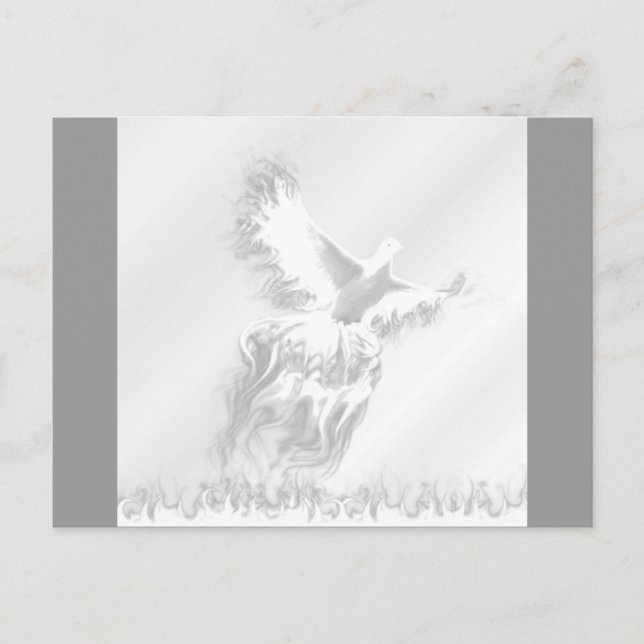 Cartão Postal Pássaro (Frente)