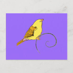 Cartão Postal Pássaro Amarelo