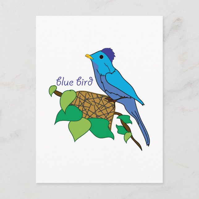 Cartão Postal Pássaro Azul (Frente)