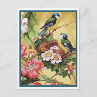 Cartão Postal pássaro azul 7