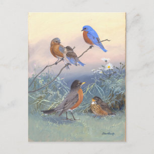 Cartão Postal Pássaro Azul e Robin Vintage