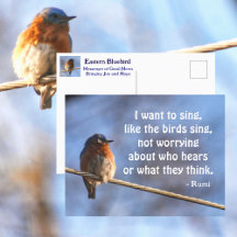 Pássaro Azul Eu Quero Cantar Citação de Rumi Fotog