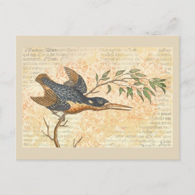 Cartão Postal Pássaro Azul na Ramificação (Frente)