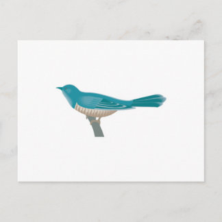 Cartão Postal Pássaro bonito
