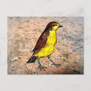 Cartão Postal Pássaro Canário