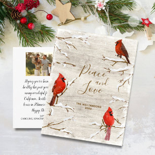Cartão Postal Pássaro Cardeal Paz Amor Natal Família Foto