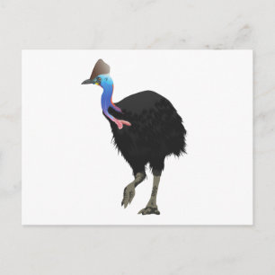 Cartão Postal Pássaro Casuar