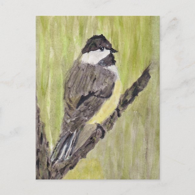 Cartão Postal Pássaro Chickadee de casaco preto - pintura acríli (Frente)