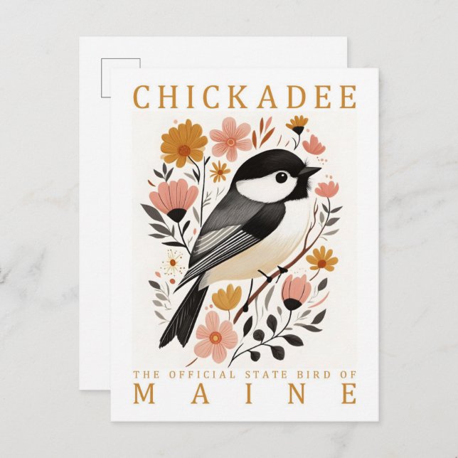 Cartão Postal Pássaro Chickadee do Maine USA Viagem (Frente/Verso)
