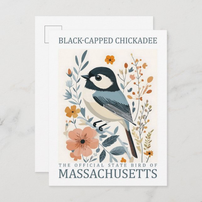 Cartão Postal Pássaro Chickadee Preto Captado de Massachusetts E (Frente/Verso)