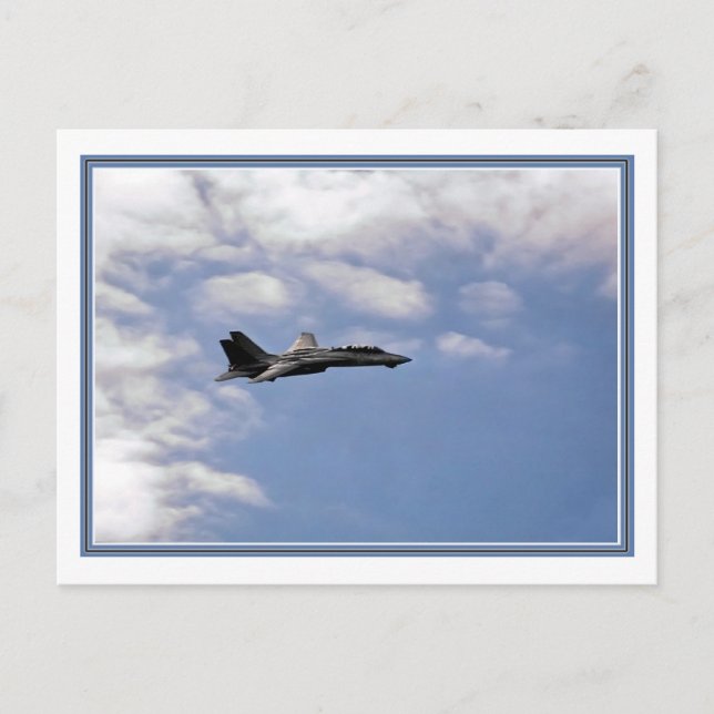 Cartão Postal Pássaro de Guerra (Frente)