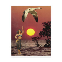 Pássaro do Paraíso -