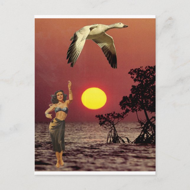 Cartão Postal Pássaro do Paraíso - (Frente)