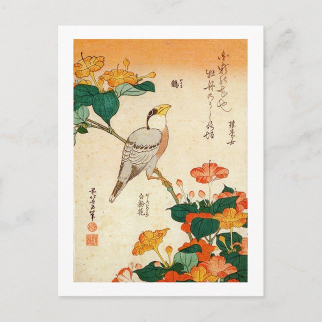 Cartão Postal Pássaro e Maravilha-da-noite, Hokusai (Frente)