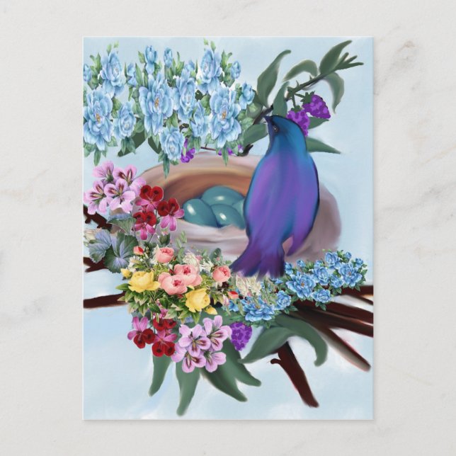 Cartão Postal pássaro e ninho (Frente)