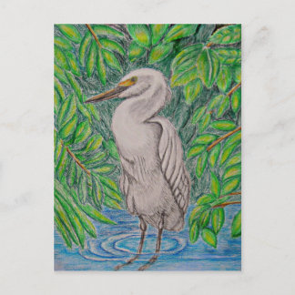 Cartão Postal Pássaro Egret