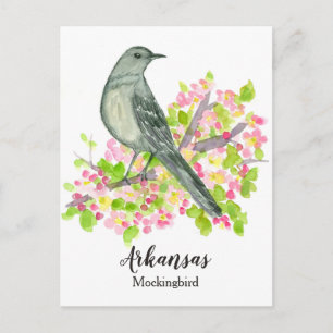 Cartão Postal Pássaro Estadual do Arkansas Mockingbird Flor de M