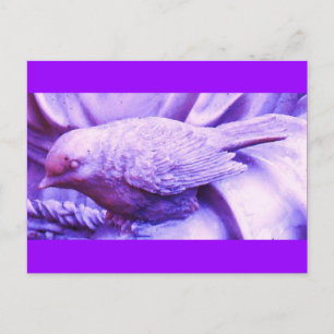 Cartão Postal Pássaro Estatuário Roxo