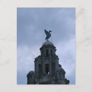Cartão Postal Pássaro Fígado em Liverpool