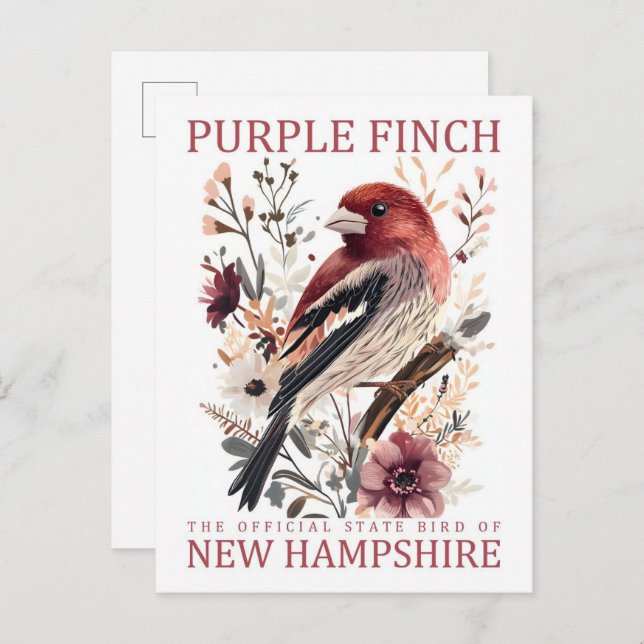 Cartão Postal Pássaro fino púrpura de New Hampshire EUA Viagem (Frente/Verso)