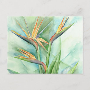 Cartão Postal Pássaro Flor Tropical Da Pintura Do Paraíso - M