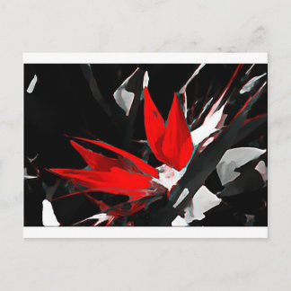 Cartão Postal Pássaro Funky do Paraíso