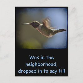 Cartão Postal Pássaro Hummingno Voo