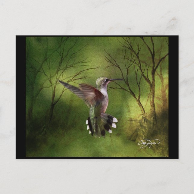 Cartão Postal Pássaro Hummingno Voo (Frente)