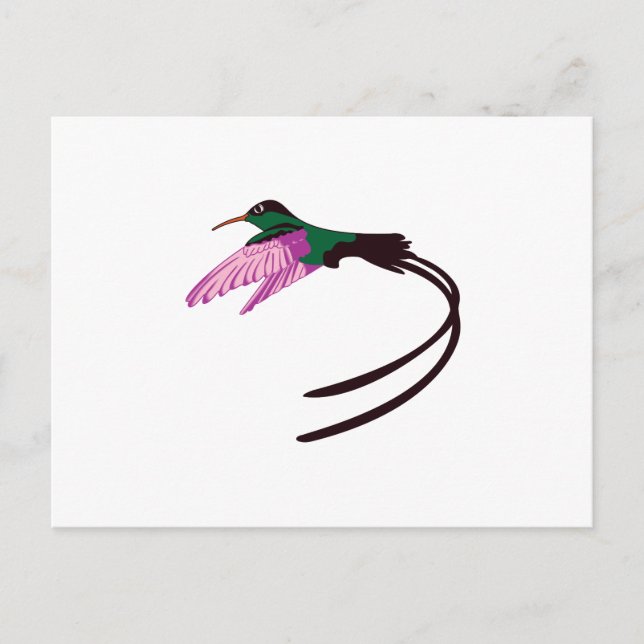 Cartão Postal Pássaro jamaicano (Frente)