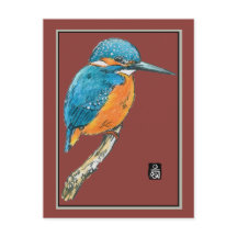 Pássaro Kingfisher Azul