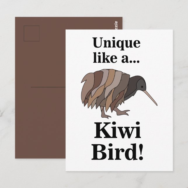 Cartão Postal Passaro Kiwi (Frente/Verso)