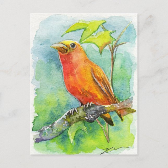 Cartão Postal Pássaro Laranja (Frente)