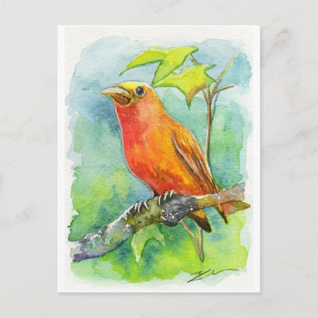 Cartão Postal Pássaro Laranja (Frente)