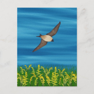 CARTÃO POSTAL PÁSSARO LIVRE